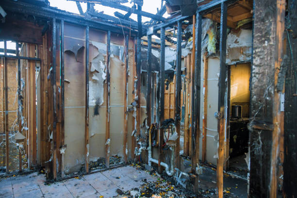 Professional Emergency Fire Cleanup technician working in Tripoli, IA